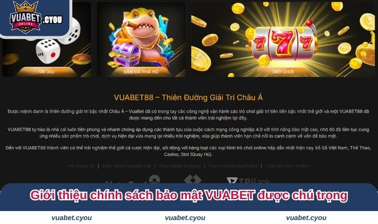 chinh sach bao mat vuabet 2 Giới thiệu chính sách bảo mật VUABET được chú trọng