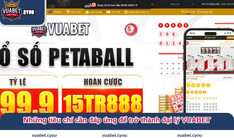 dai ly vuabet 3 Những tiêu chí cần đáp ứng để trở thành đại lý VUABET