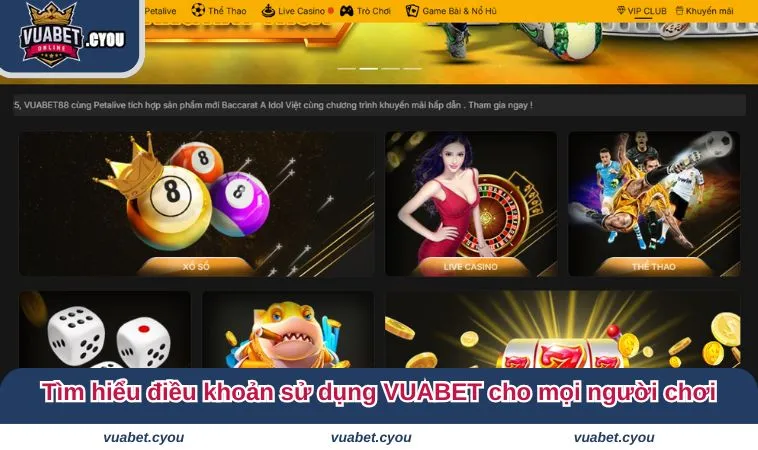 dieu khoan su dung vuabet 2 Tìm hiểu điều khoản sử dụng VUABET cho mọi người chơi