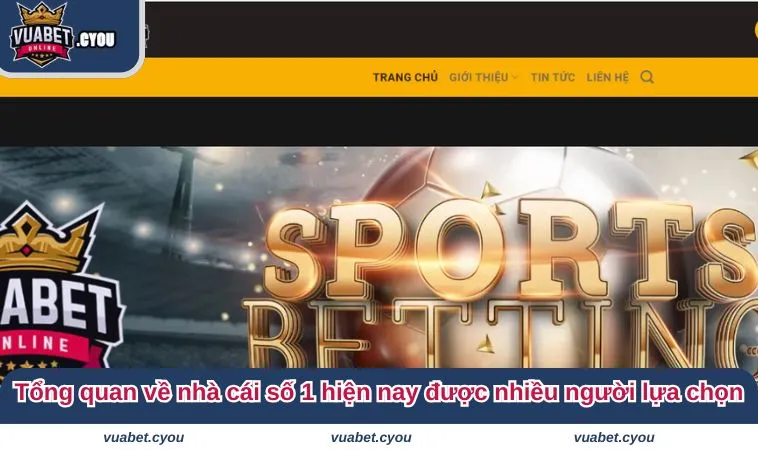 gioi thieu vuabet 2 Tổng quan về nhà cái số 1 hiện nay được nhiều người lựa chọn