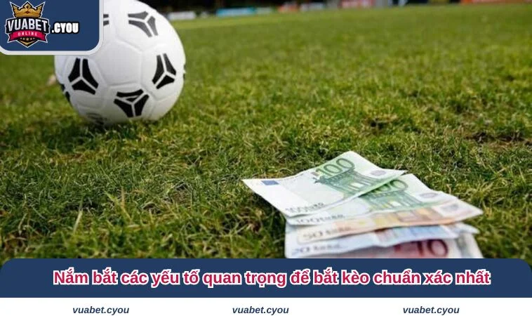 keo chap 3 4 3 Nắm bắt các yếu tố quan trọng để bắt kèo chuẩn xác nhất